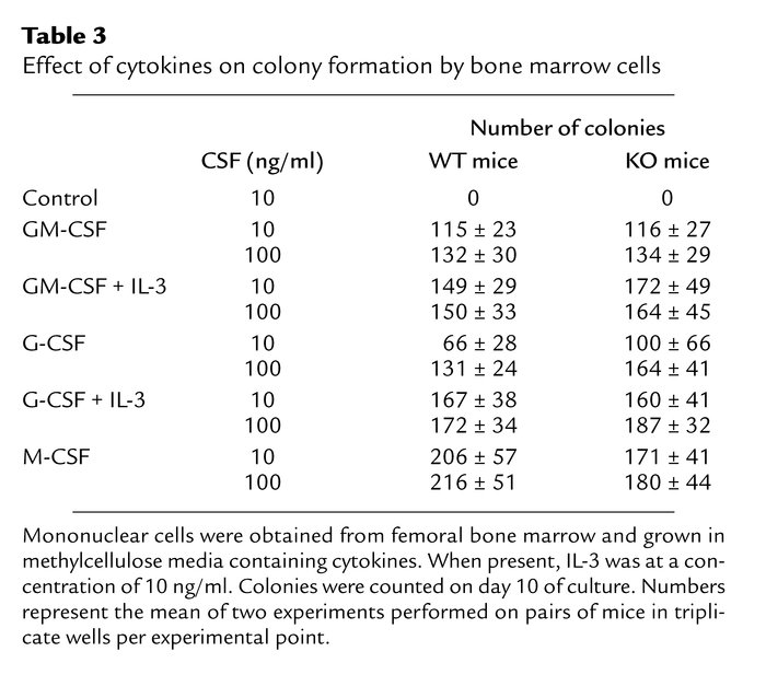 Effect of cytokines on colony formation by bone marrow cells
