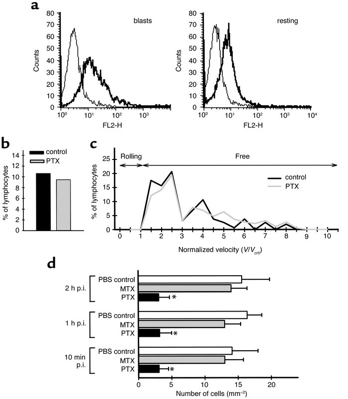 Requirement for G proteins in T lymphoblast interaction with the spinal ...