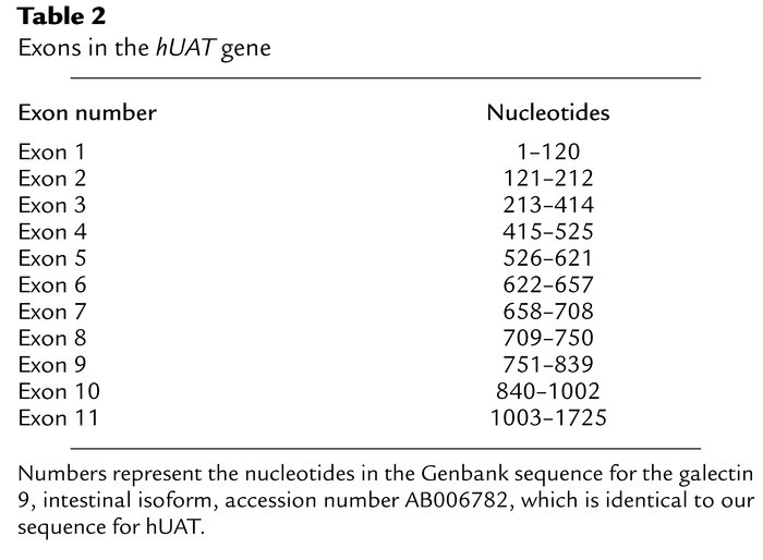 Exons in the hUAT gene