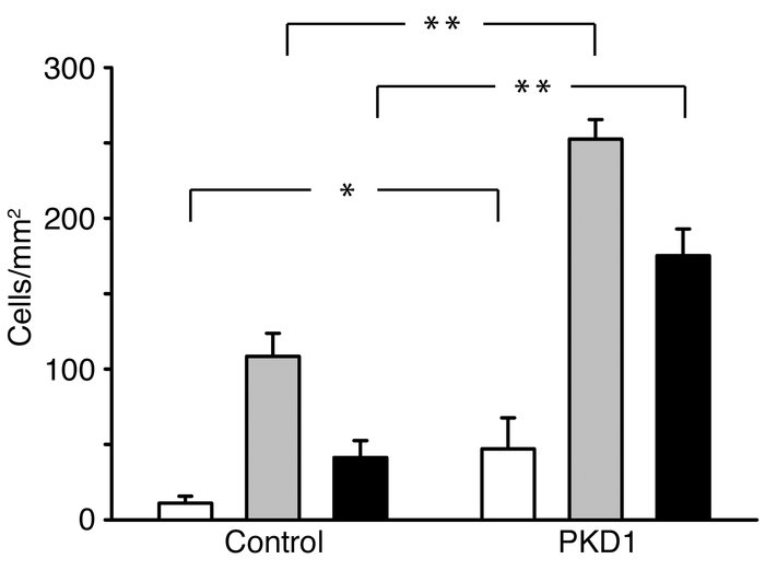 Expression of the membrane-anchored C-terminal cytoplasmic domain of pol...