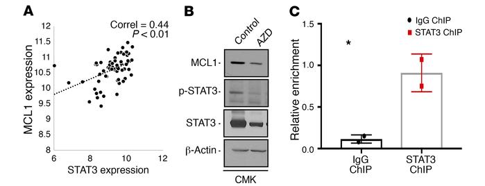 STAT3 downregulation by AZD9150 leads to downregulation of MCL1.
(A) Pos...