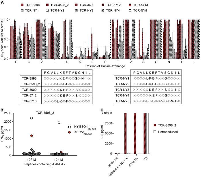 ABabDR4-derived TCR-3598_2 showed no cross-reactivity.
(A) TCR-transduce...