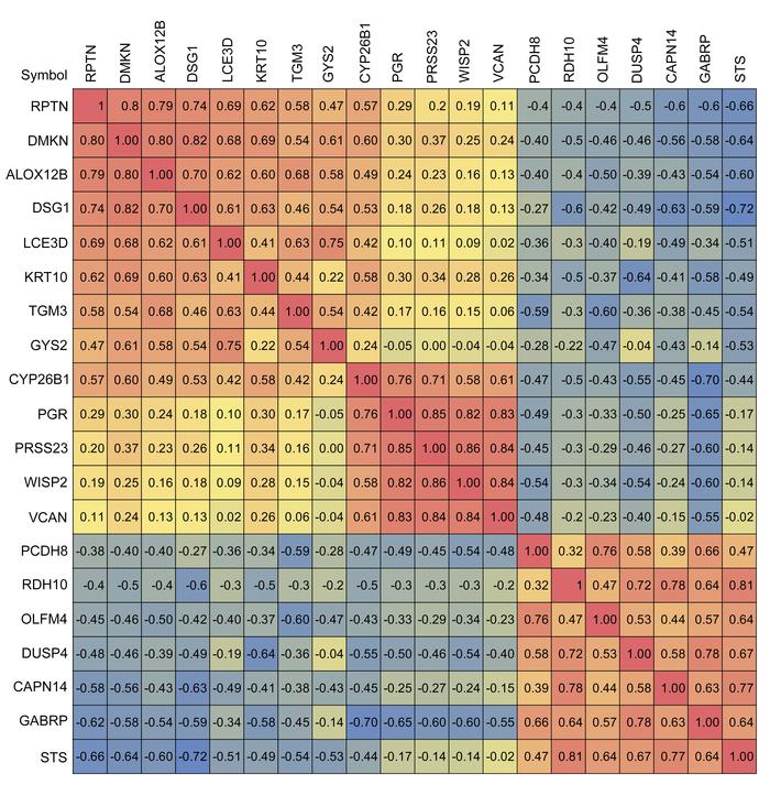 Graphical Spearman correlation matrix of selected ectocervical genes dif...