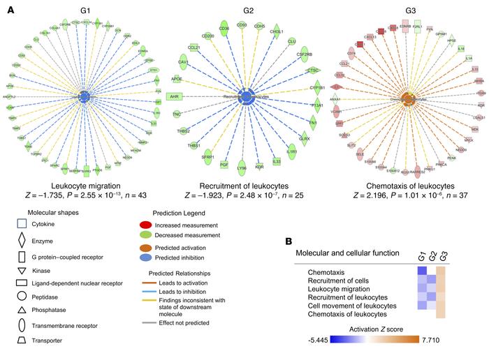 Activation status of functions related to immune cell migrations in 3 gr...