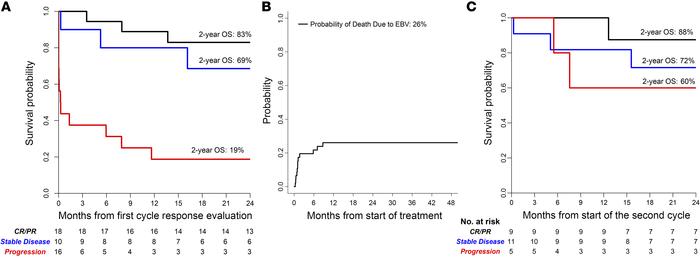 Overall survival at 2 years.
(A) Survival of all patients based on evalu...