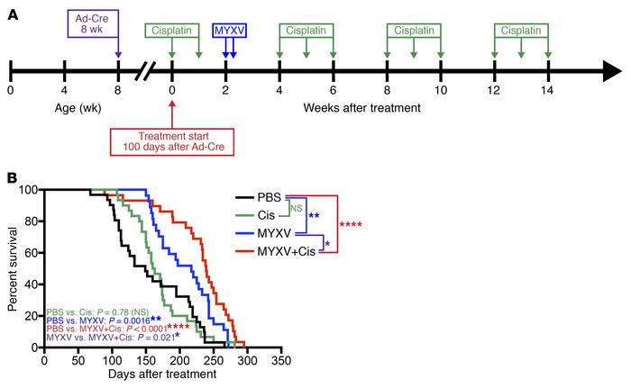 MYXV increases overall survival in conditional p53–/–/Rb1–/–/p130–/– SCL...