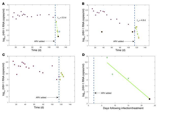 HIV-1–infected LMs persist and decay with inconstant dynamics in vitro.
...