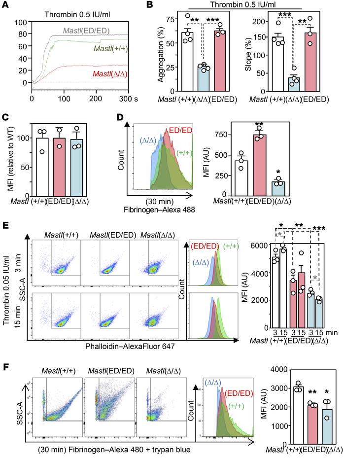 Platelet activation in Mastl(Δ/Δ) and Mastl(ED/ED) mutant mice.
(A) Repr...