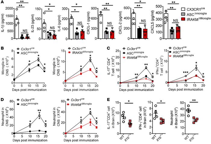 Microglia-intrinsic IRAKM–caspase-8 inflammasome activation is required ...