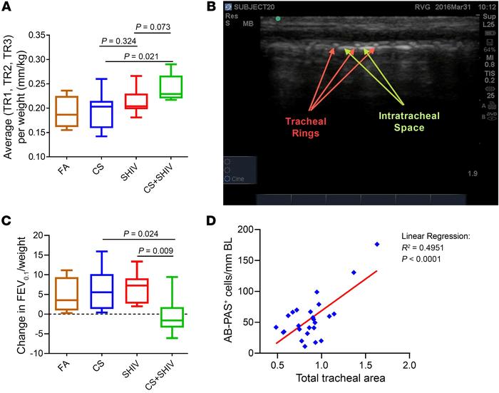 CS exposure and SHIV infection synergistically reduce lung function whil...