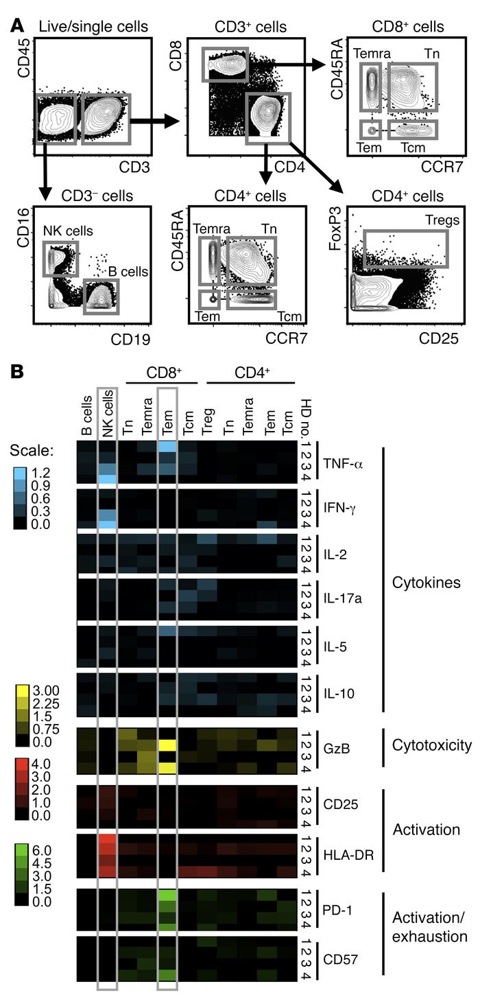 CyTOF high-dimensional analysis of response to the AAV capsid in immune ...