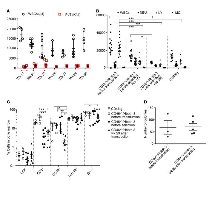 Safety of in vivo transduction/selection in the CD46+/+/Hbbth-3 mouse mo...