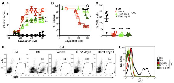 Delayed RTrx1 treatment ameliorates GVHD while preserving the GVL activi...