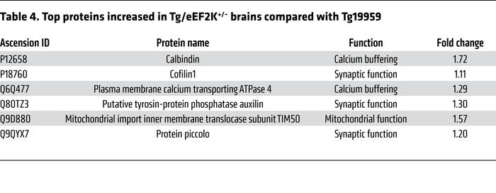 Top proteins increased in Tg/eEF2K+/– brains compared with Tg19959