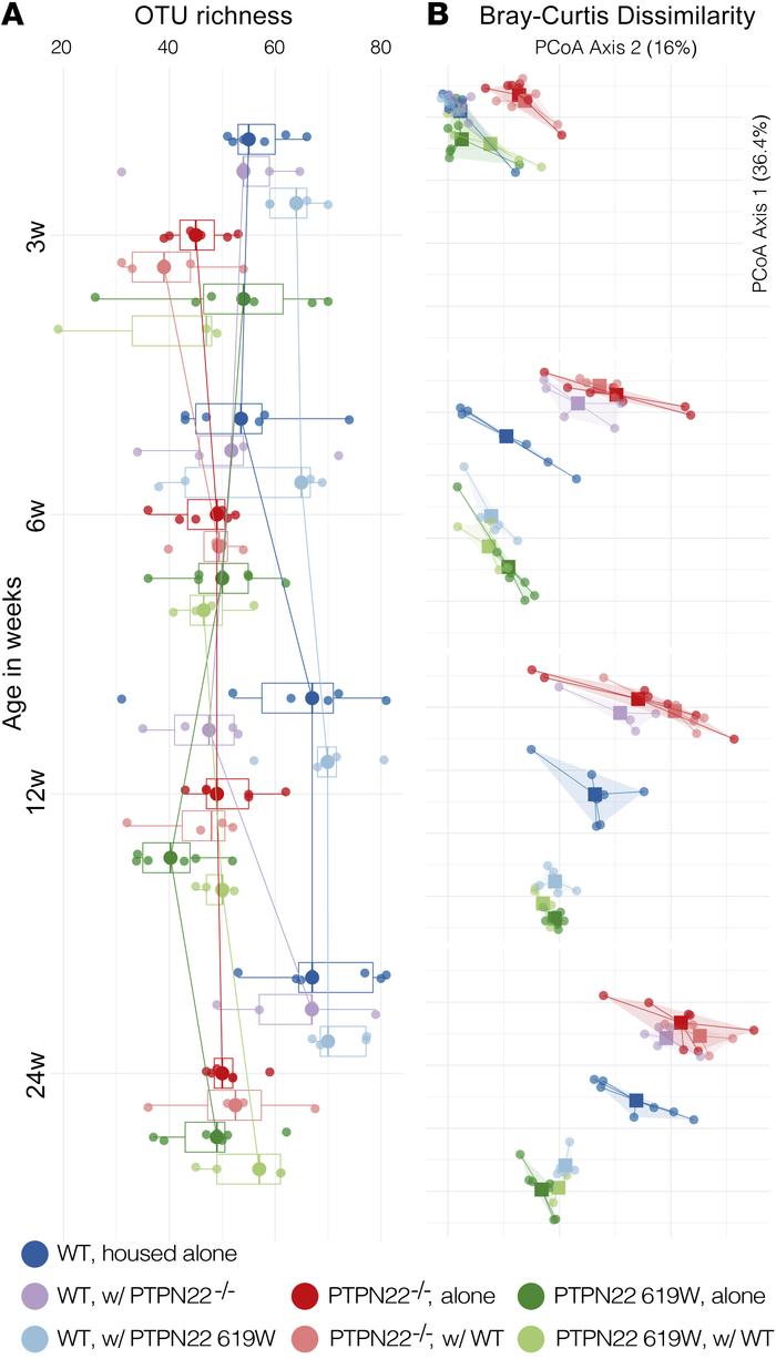 619W and PTPN22–/– genotypes are associated with a distinct gut microbio...