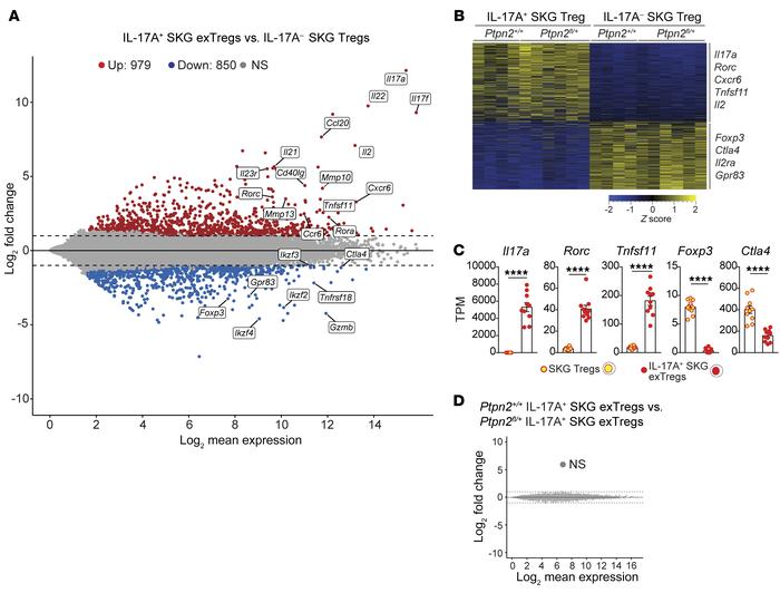 Transcriptomic comparison of in vivo isolated exTregs and Tregs.
(A–D) R...