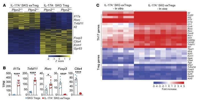 In vitro–generated exTregs recapitulate in vivo exTregs.
(A–C) RNA-Seq a...