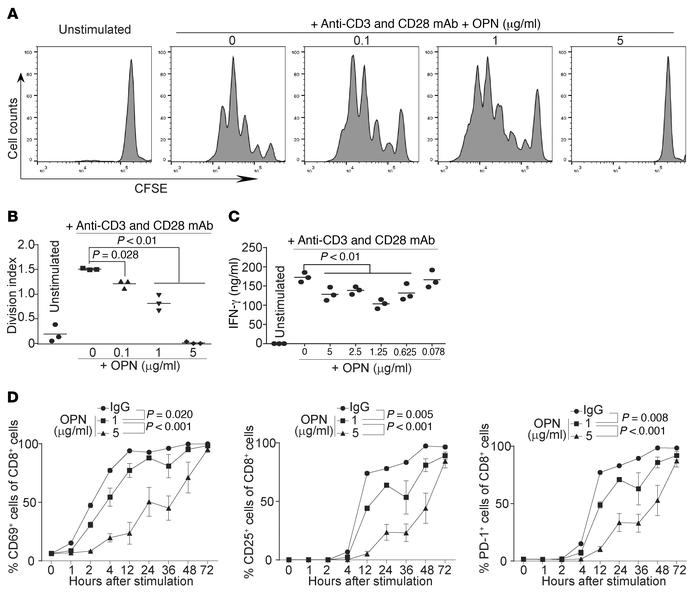 JCI An osteopontin/CD44 immune checkpoint controls CD8+ T cell