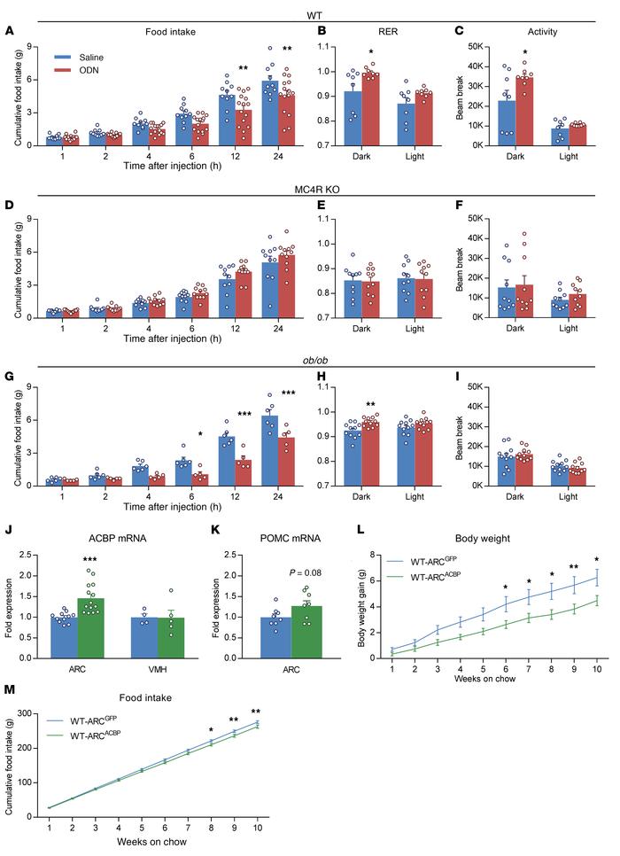 Central effects of ODN on energy homeostasis rely on the melanocortin sy...