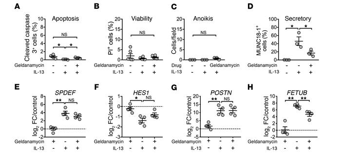 Effects of geldanamycin on human airway epithelia.
Geldanamycin did not ...