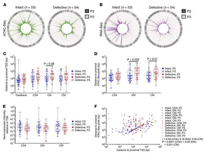 Chromosomal integration site features in study participants 2 and 3.
(A ...