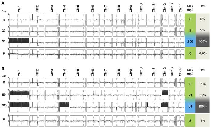 Clinical relapse of cryptococcal meningitis with high MIC to FLC is asso...