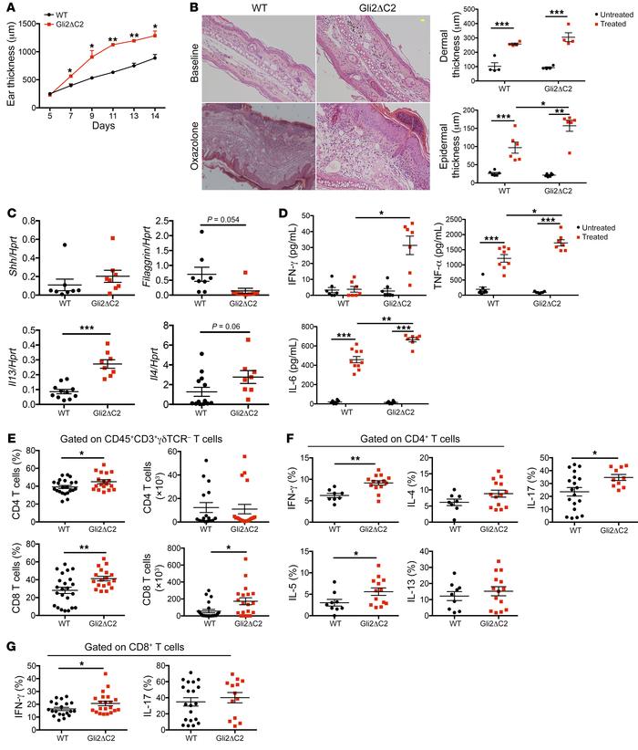 Exacerbated skin inflammation on induction of AD when Hh pathway activat...