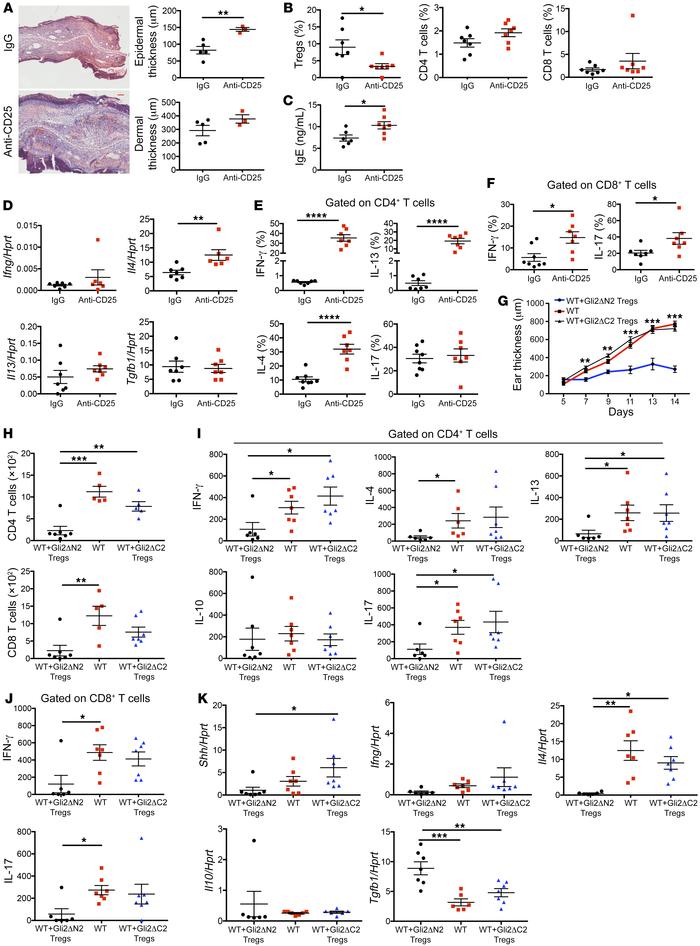 Hh signaling promotes skin Treg populations and their immune-regulatory ...
