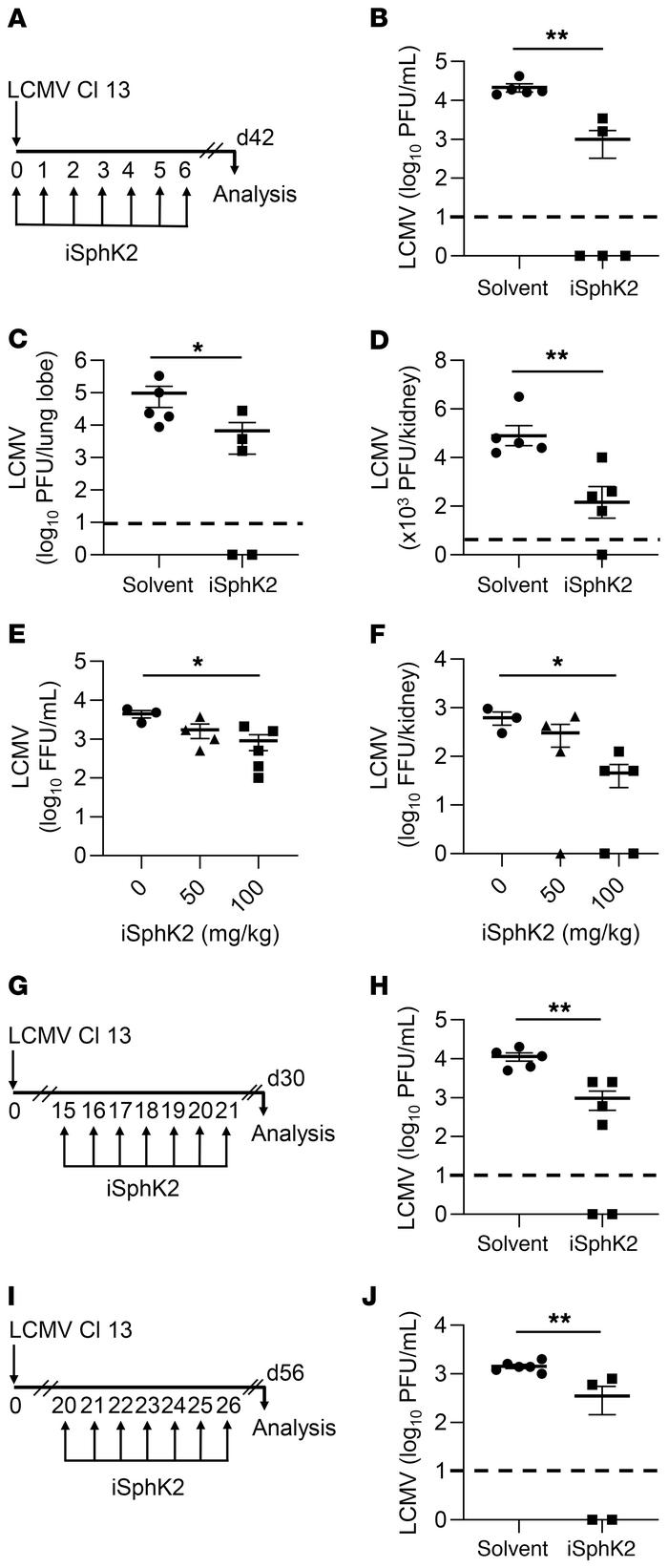 Inhibition of SphK2 results in accelerated clearance of persistent LCMV ...