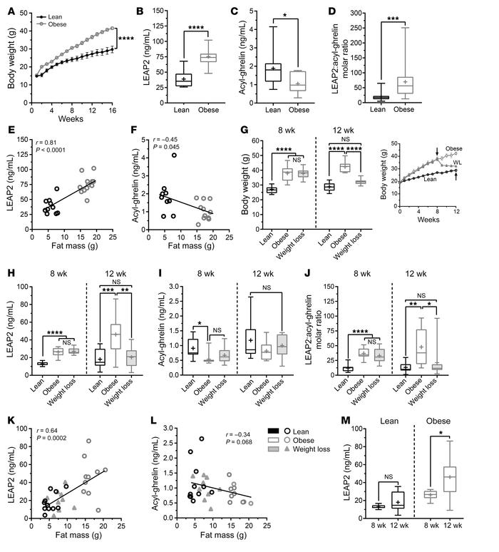 Responses to chronic HFD and weight loss in mice.
Body weight curves of ...