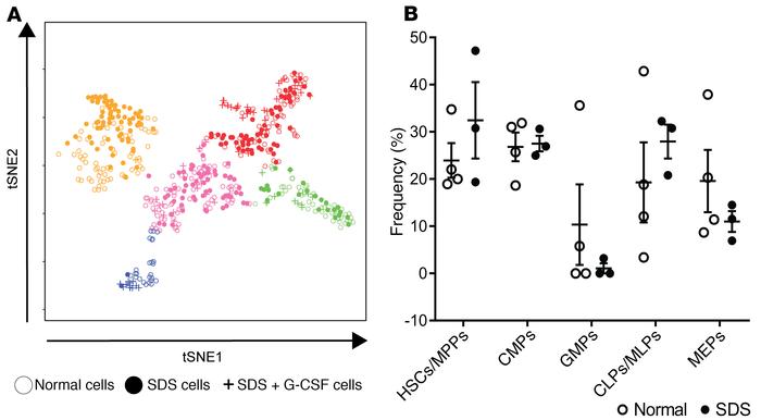 The cellular architecture of early hematopoiesis is altered in SDS.
(A) ...