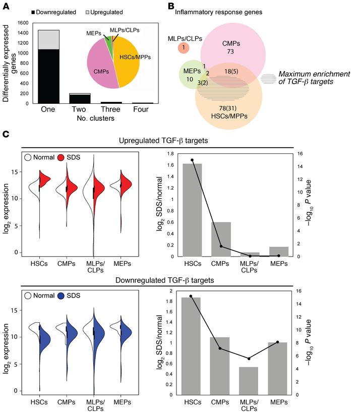 TGF-β signaling is selectively activated in SDS stem and multipotent pro...