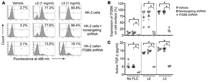 Overnight incubation of HK-2 cells with 2 different monoclonal FLCs prom...