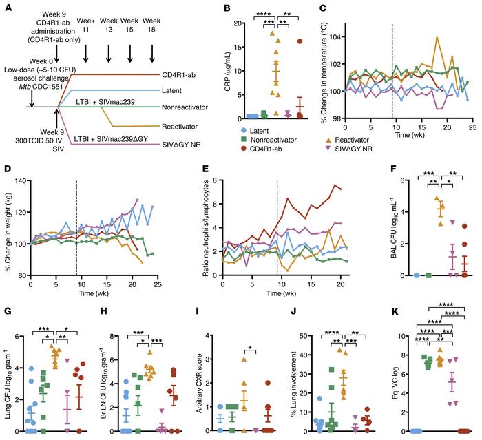 Comparison of CD4+ T cell–sparing SIVmac239ΔGY and antibody-mediated CD4...