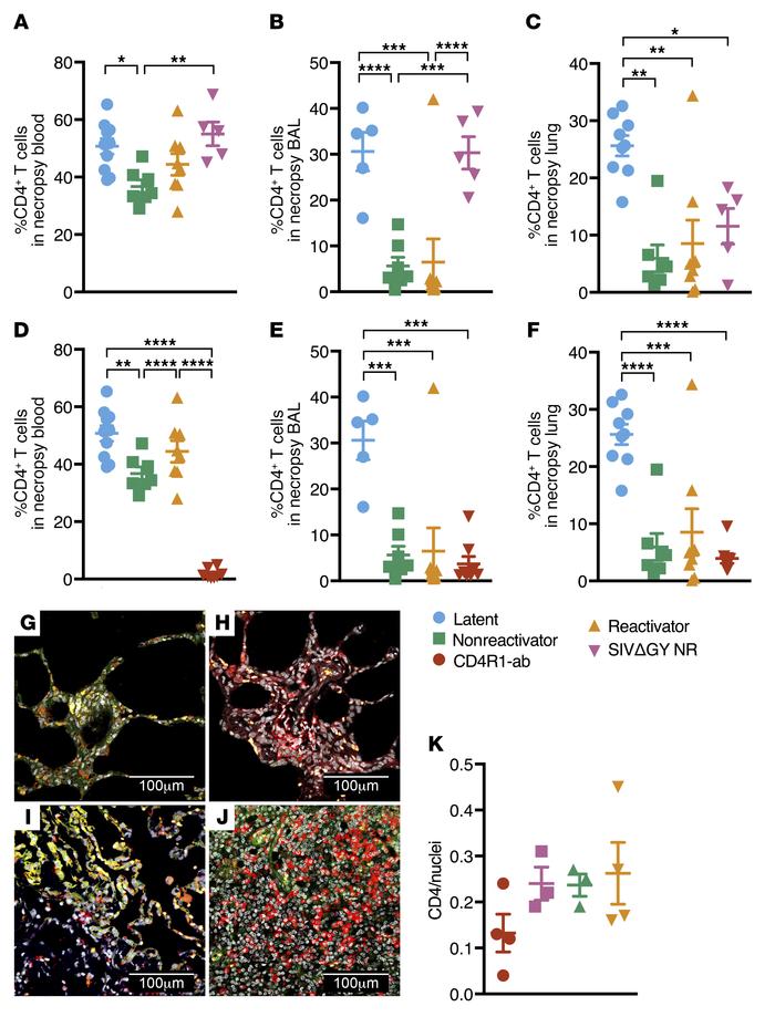 CD4+ T cells are preserved in Mtb/SIVΔGY coinfection and ablated in Mtb/...
