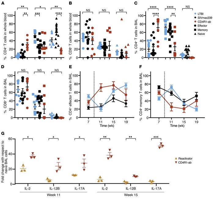Peripheral and BAL CD4+ T cells reflect a proportional shift toward effe...