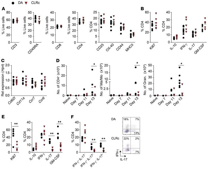 Modulation of T cell activation in the CNS, but not in the periphery, un...