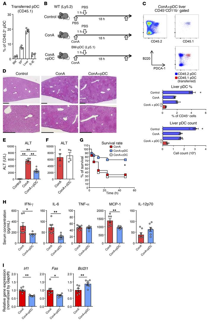 Adoptive transfer of BM-derived pDCs ameliorates ConA-induced inflammati...
