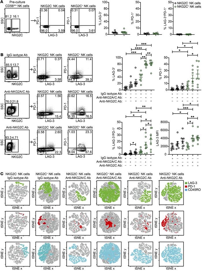 Adaptive NK cells chronically stimulated through NKG2C upregulate LAG-3 ...