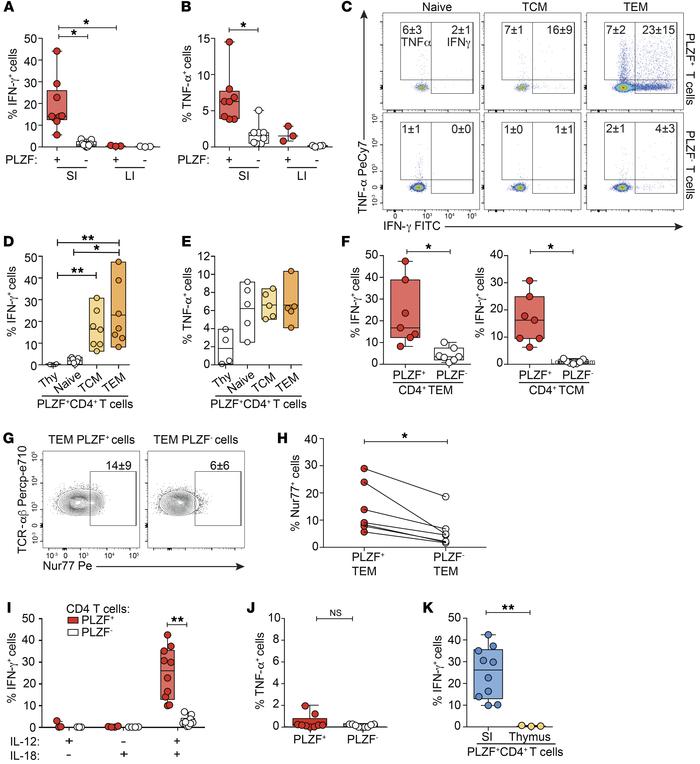 PLZF+CD4+ T cells produce cytokines in response to both TCR-dependent an...