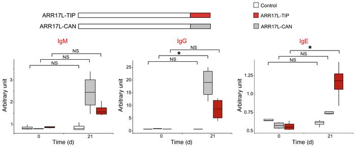 Effect of the addition of a TI peptide to a nonallergenic protein.
Level...