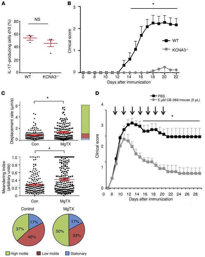 Intrathecal administration of glutaminase inhibitor CB-839 ameliorates d...