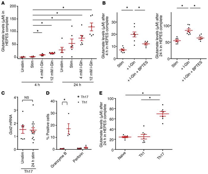 Th17 cells possess a vesicular glutamate release pathway.
(A) Polarized ...