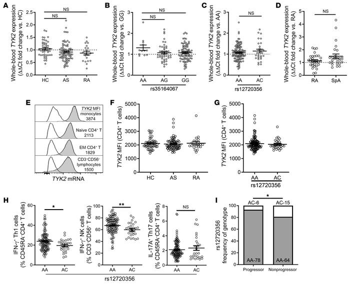 AS-associated SNPs at the TYK2 locus do not alter TYK2 expression, but c...