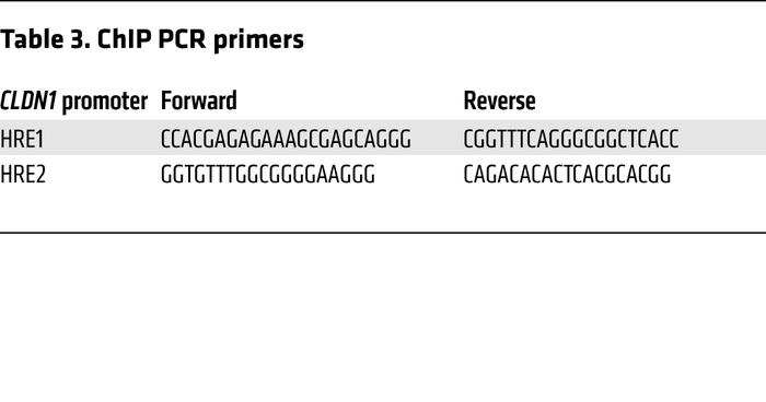 ChIP PCR primers