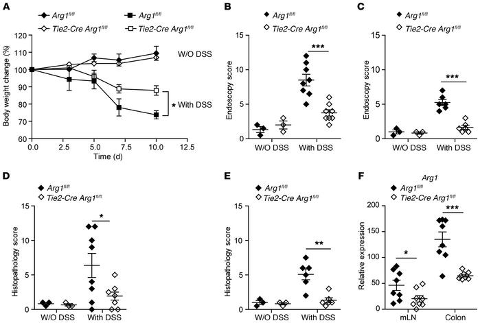 Microbiota from Tie2-Cre Arg1fl/fl mice enhance recovery from DSS-induce...