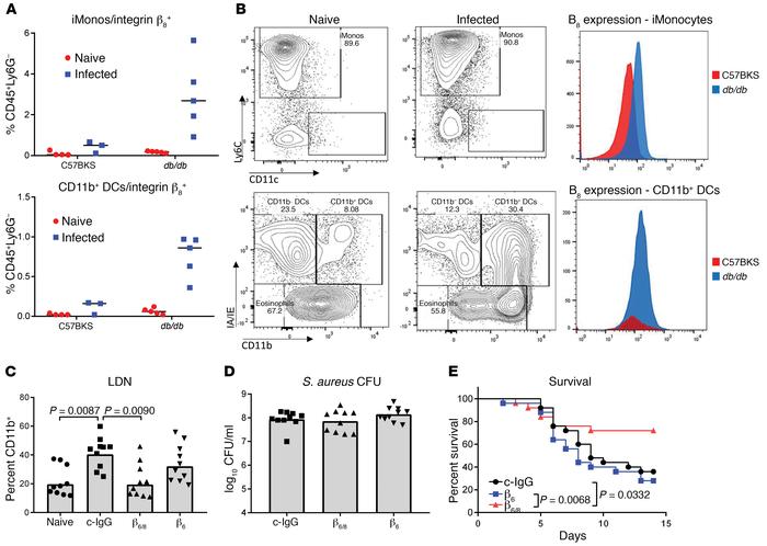 αvβ8 Activity leads to expansion of the LDN population.
(A) FACS analysi...
