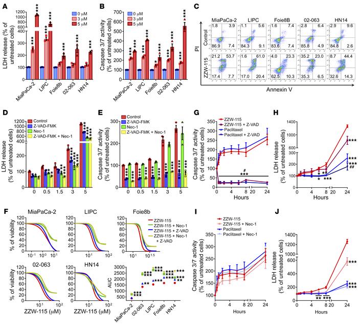 ZZW-115 induces cell death by necrosis and apoptosis in vitro.
A panel o...