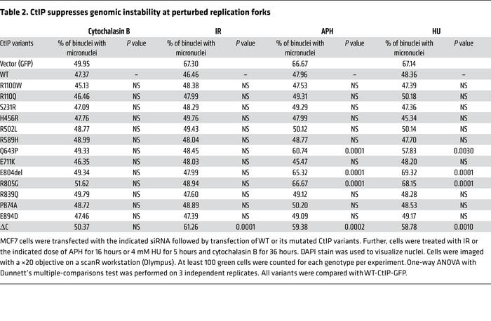 CtIP suppresses genomic instability at perturbed replication forks
