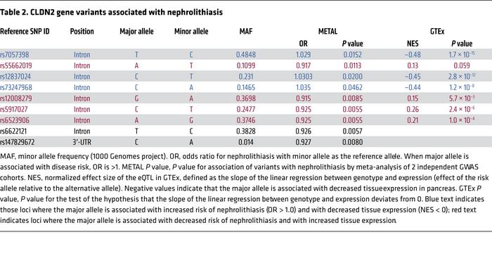 CLDN2 gene variants associated with nephrolithiasis